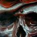 Tattoos - Skull Rose - 68943